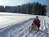 Mit dem Schlitten durch den Winterwald.